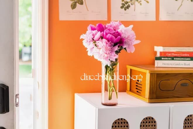 Cách sử dụng hoa mẫu đơn trong phong thủy 5 Hoa mẫu đơn trong phong thủy có ý nghĩa gì? Ảnh 1